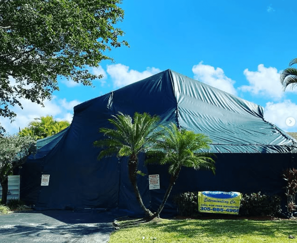 Termite-Tents-in-Miami-South-Florida