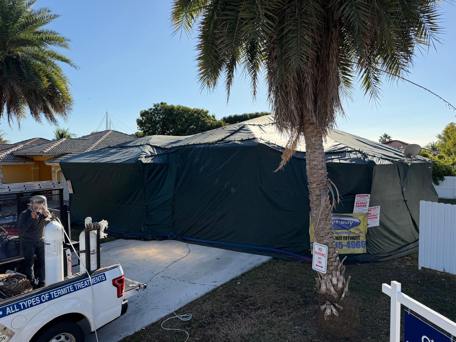 Termite Control in Doral